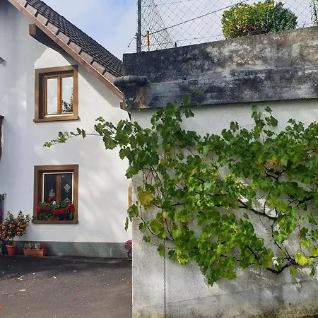 Apartment Auf Dem Bueckle