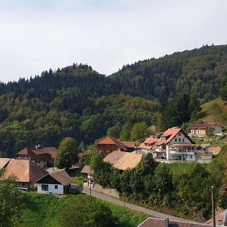 Auf Dem Bueckle * Kleines Wiesental
