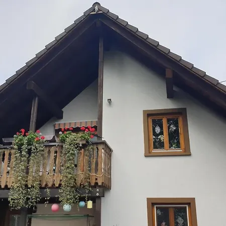 Auf Dem Bueckle * Kleines Wiesental