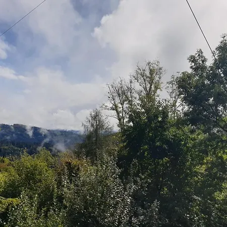 Appartement Auf Dem Bueckle *