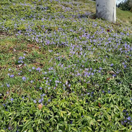 Appartement Auf Dem Bueckle Kleines Wiesental