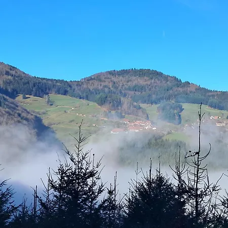 Auf Dem Bueckle Kleines Wiesental