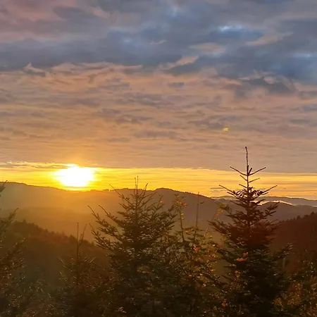 Appartement Auf Dem Bueckle