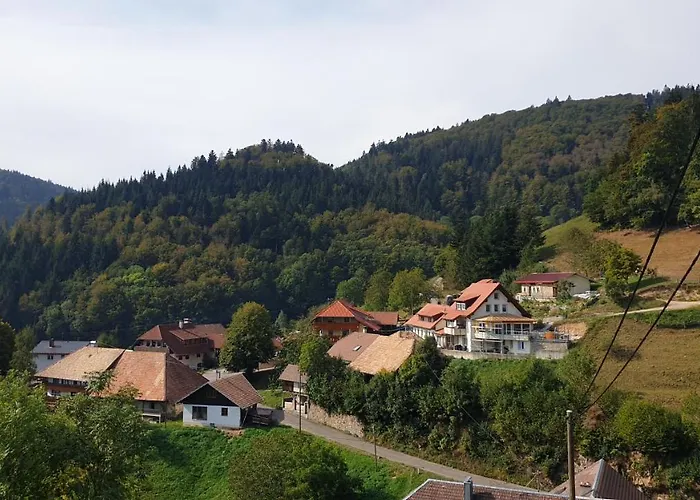 Auf Dem Bueckle * Kleines Wiesental