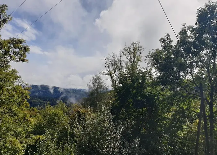 Lägenhet Auf Dem Bueckle *