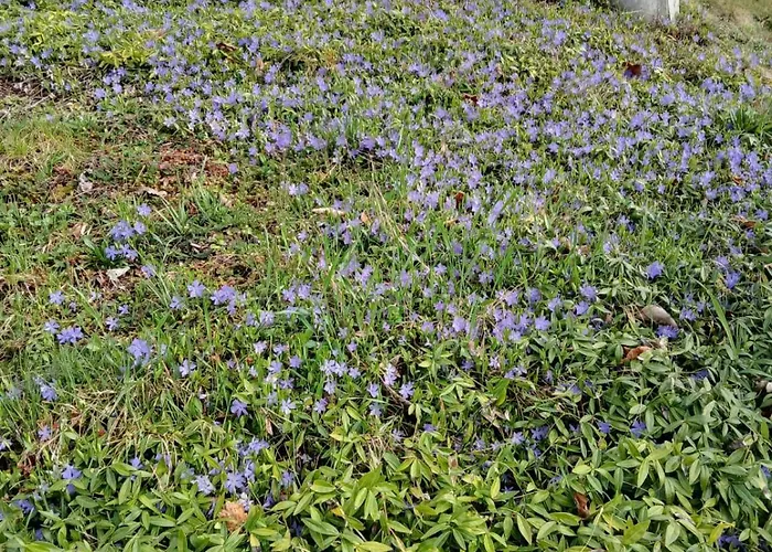 Lägenhet Auf Dem Bueckle Kleines Wiesental