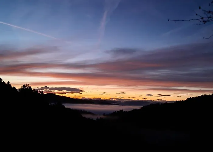 Auf Dem Bueckle Kleines Wiesental