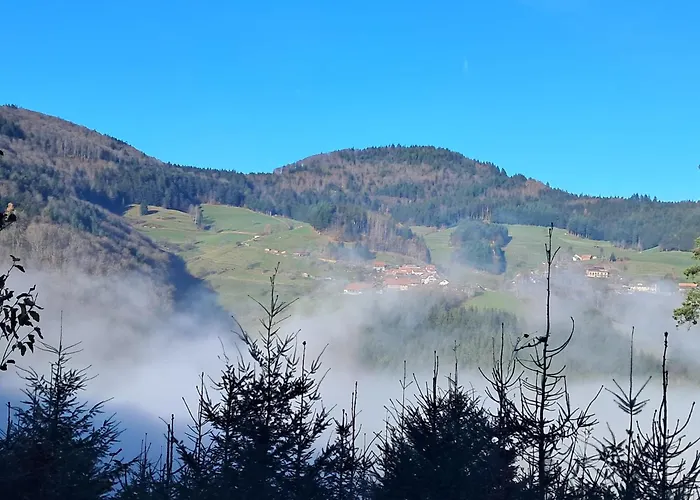 Auf Dem Bueckle Kleines Wiesental